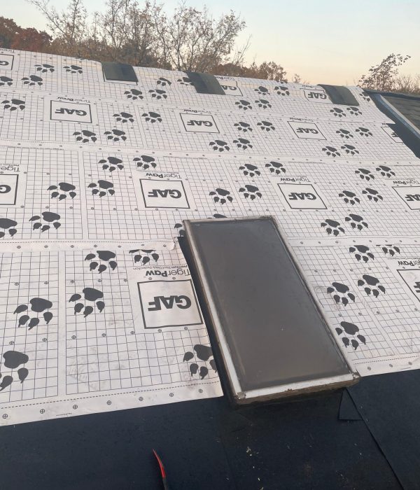 WhatsApp Image 2025-12-06 at 11.06.56