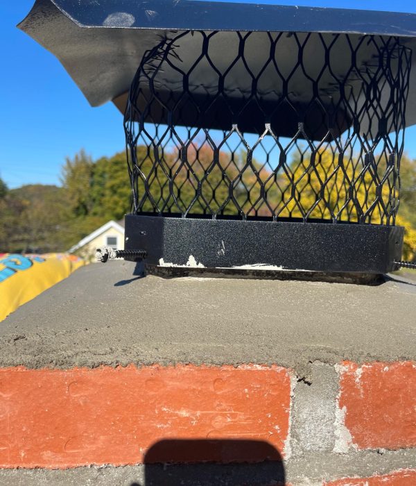 WhatsApp Image 2025-12-06 at 11.06.57 (1)